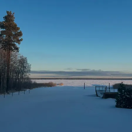 Log Of Peace