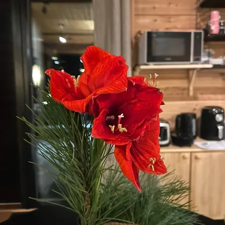 Log Of Peace Appartement *